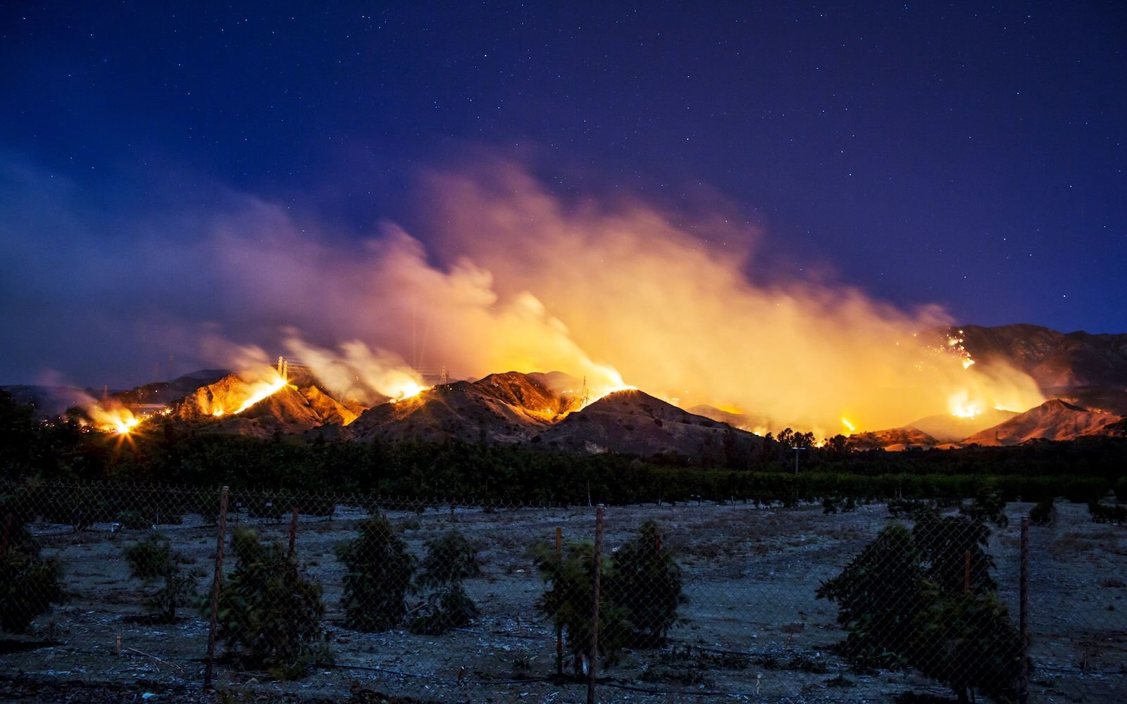 The Thomas Fire burns along a hillside near Santa Paula, California, on December 5, 2017.
More than a thousand firefighters were struggling to contain a wind-whipped brush fire in southern California on December 5 that has left at least one person dead, sent thousands fleeing, and was choking the area with thick black smoke. / AFP PHOTO / Kyle Grillot        (Photo credit should read KYLE GRILLOT/AFP/Getty Images)